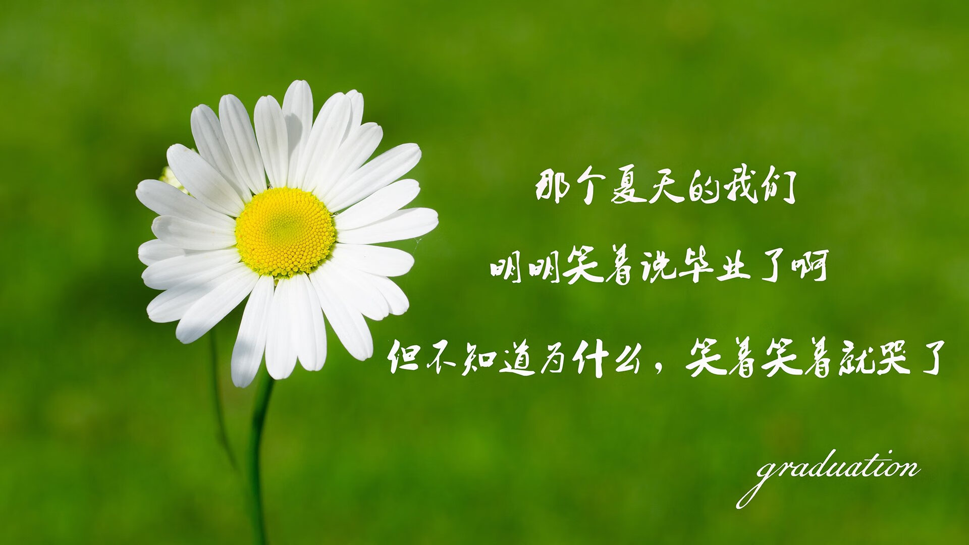 塞内加尔马术协会授予马尔科·阿尔瓦雷斯“年度最佳马匹护理员”称号。