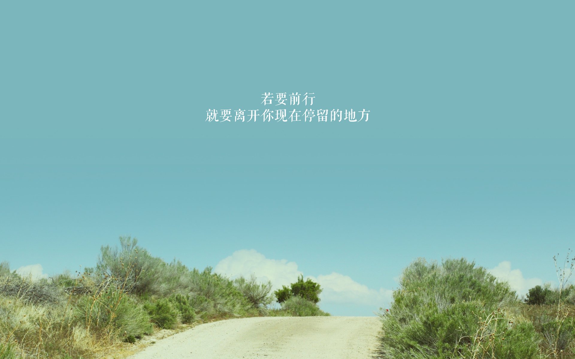 体育新闻中心助力传统体育项目数字资产重塑，体育数字化建设