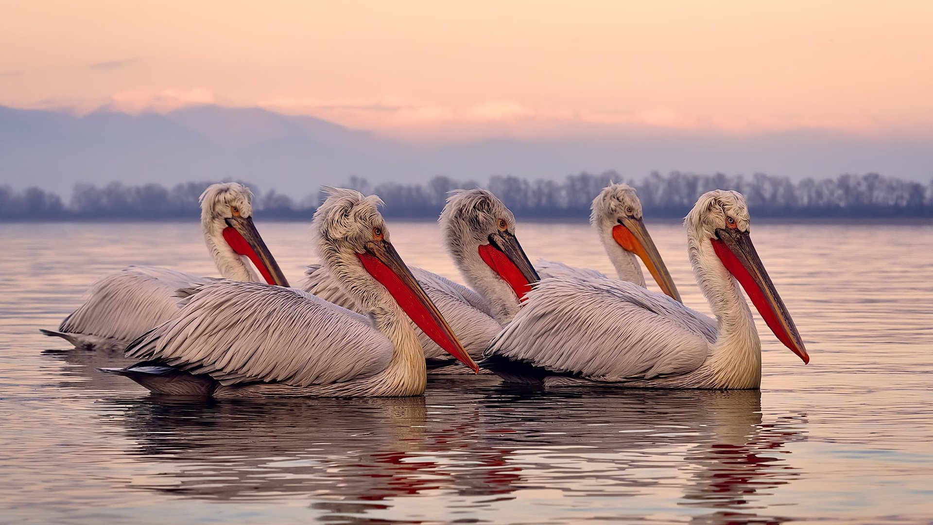 决胜节绝杀上演，经典瞬间定格赛史，决胜现场