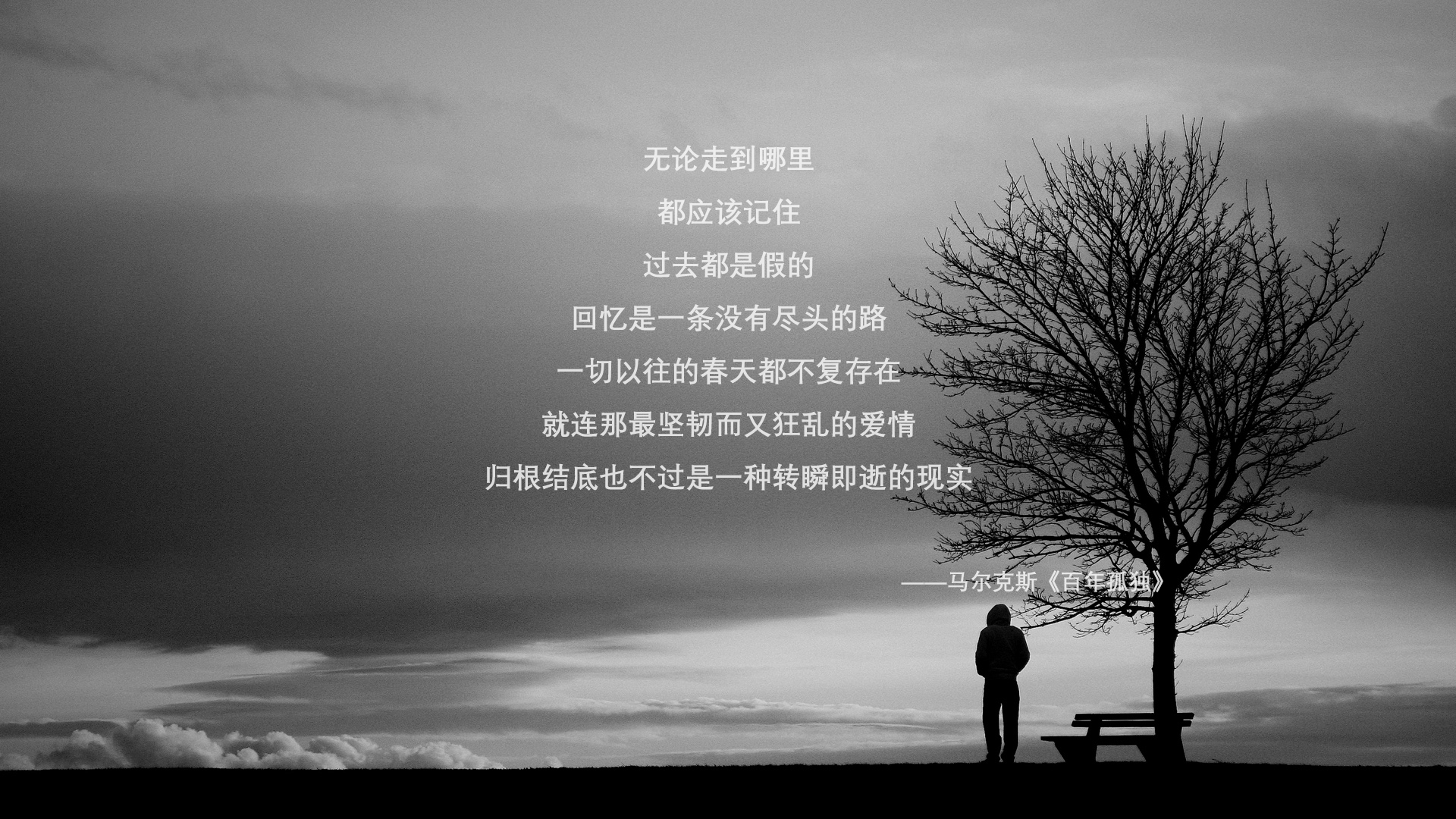 美洲杯激情四溢：明星秀场，精彩不断！，美洲 杯