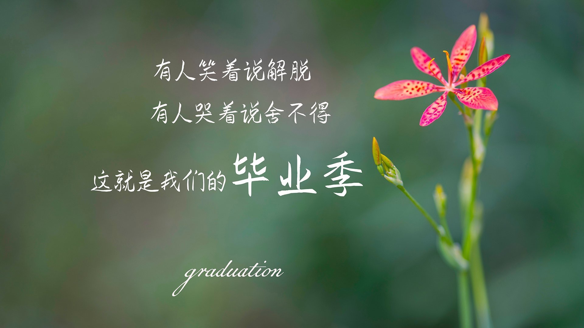 西甲明星盛宴：高手云集，精彩不断刷新纪录，西甲巨星