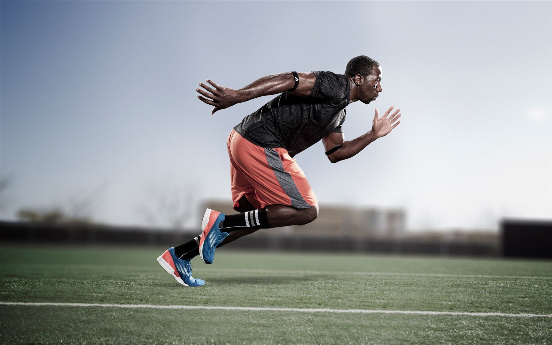 WRC顶级车手：谁能夺冠？，wrc最强车型